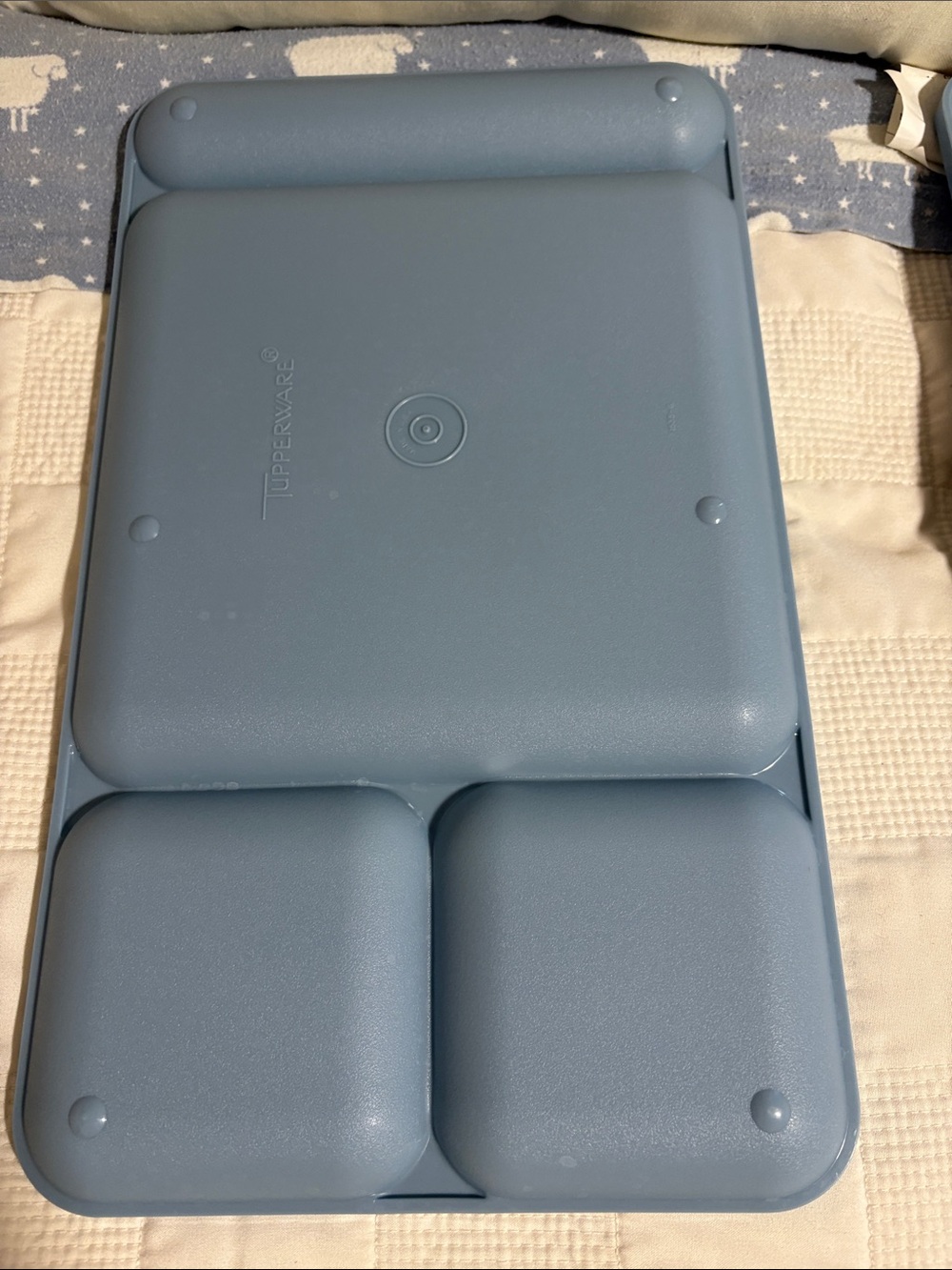 Tupperware Light Blue Four-Compartment Meal Tray - Picture 9 of 14